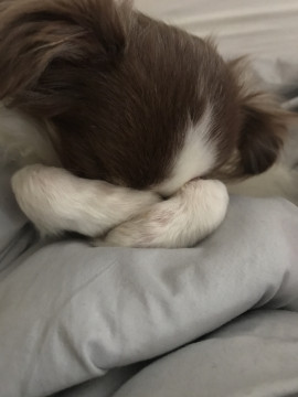 今日からはじめる！