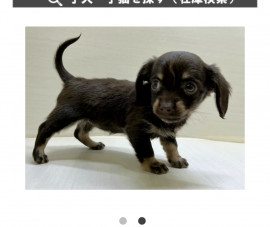 もちちゃんの2023/12/30 (土) 10:53のブログ