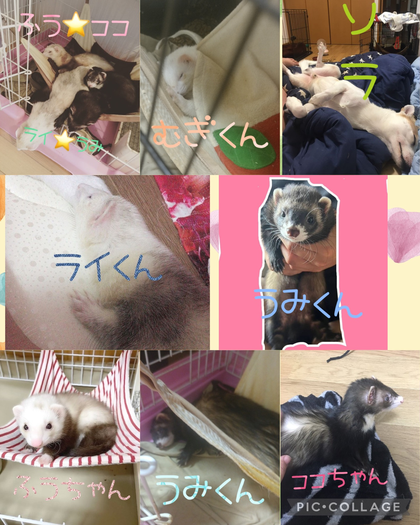 桃々ちゃんの2024/1/4 (木) 22:23のブログ