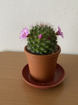 最近気づいたこと