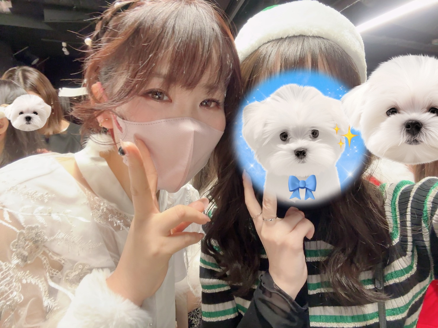 まいぴちゃんの2024/1/9 (火) 17:16のブログ