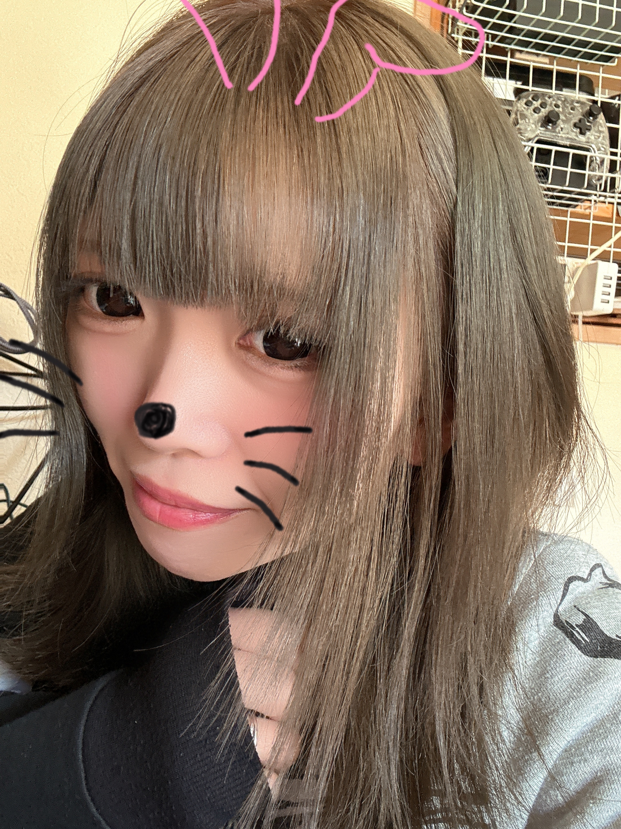 お久しぶり投稿