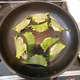 みんなの晩ご飯は何ですかー？?