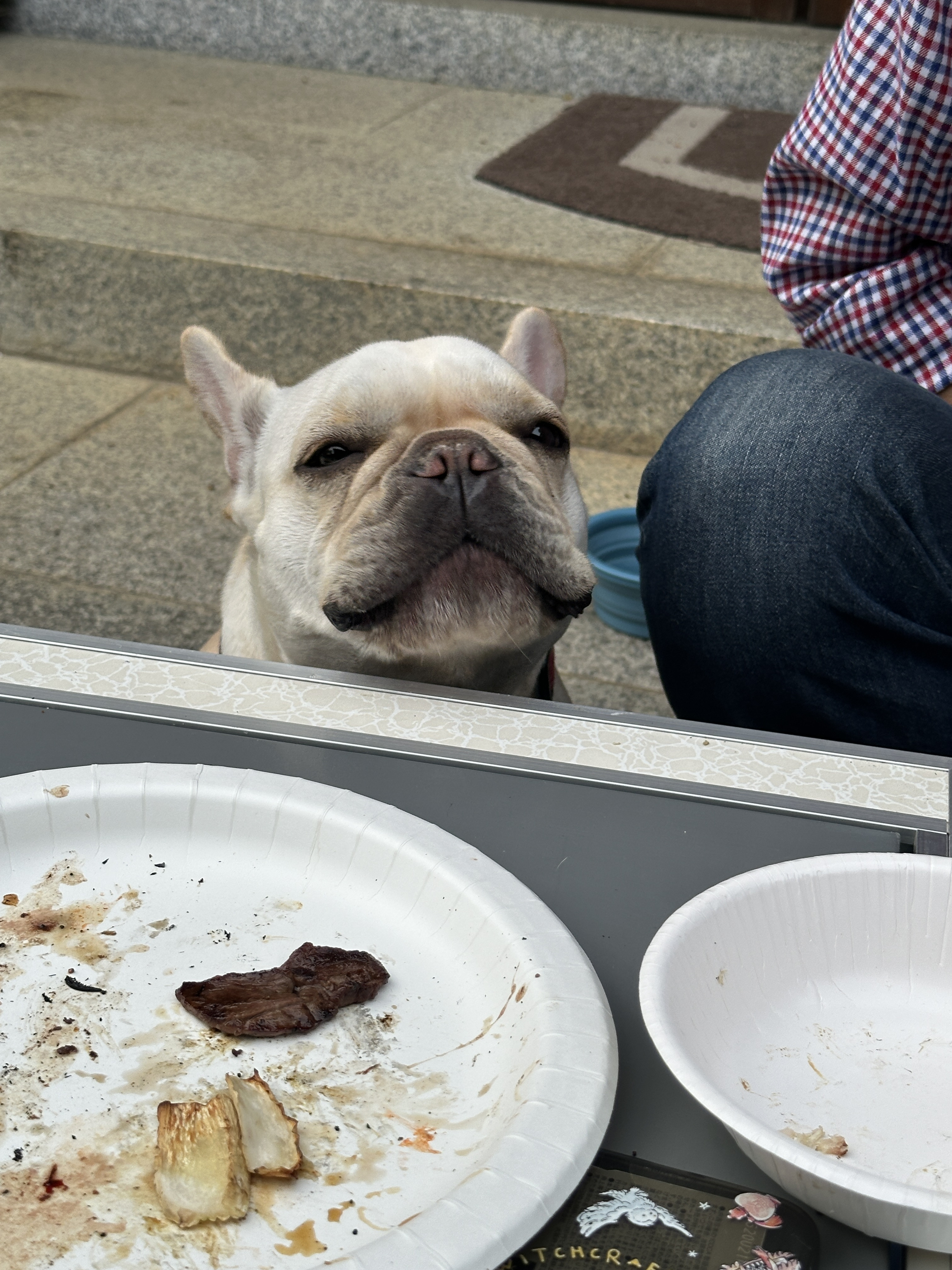 お久しぶりです??♀?