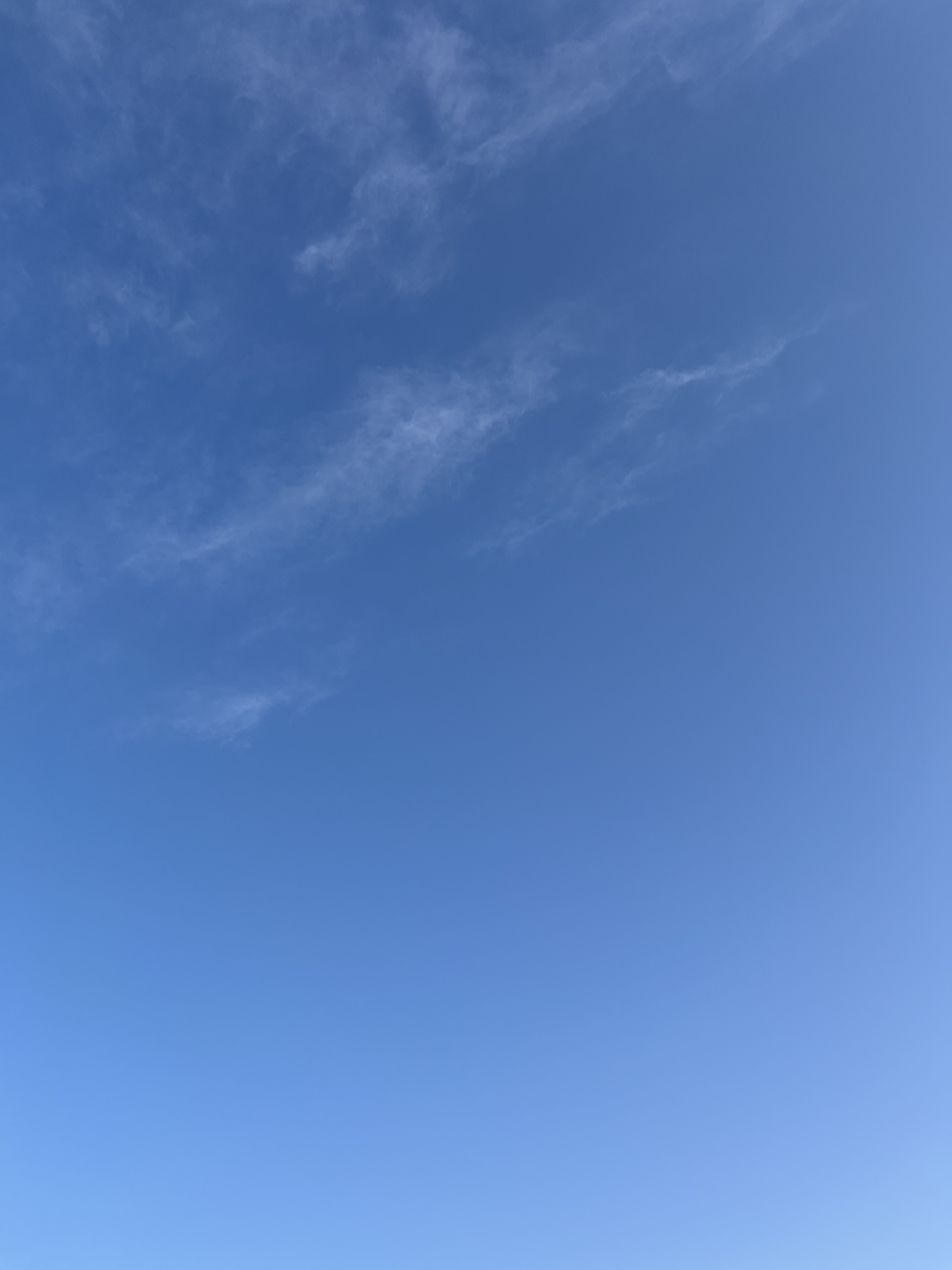 お散歩 日和