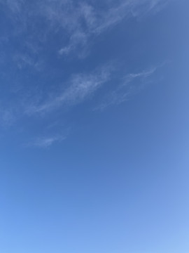 お散歩 日和