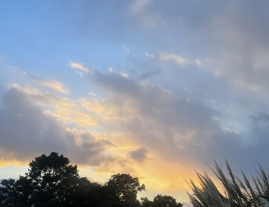 3時からLIVEするよん