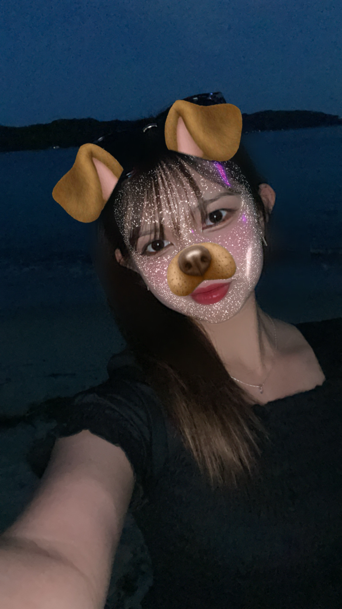 今日はおしまい?