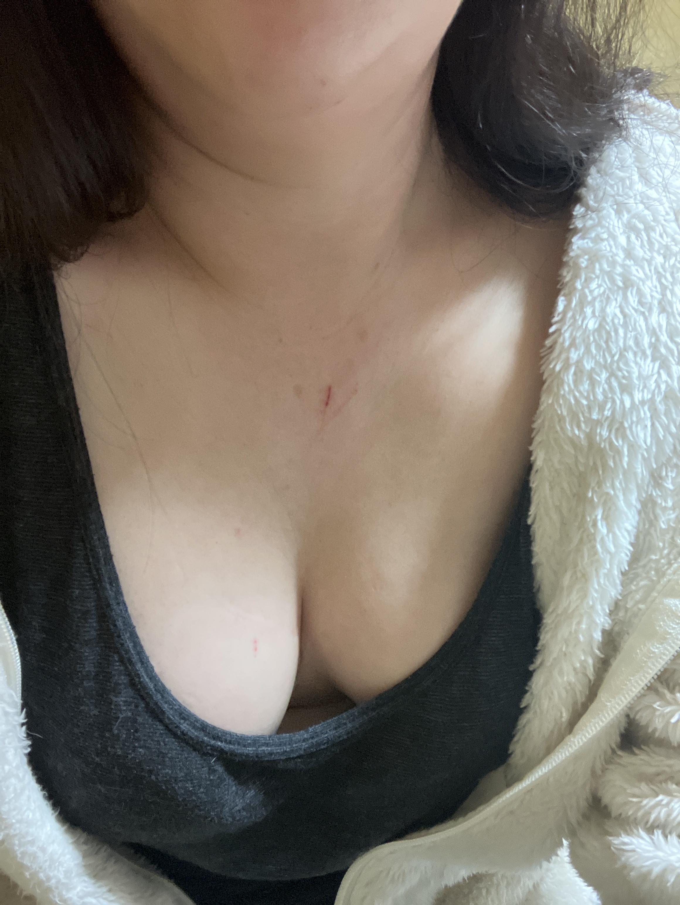 おはようございます