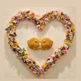 まいちゃんの2/12 (水) 14:57のブログ