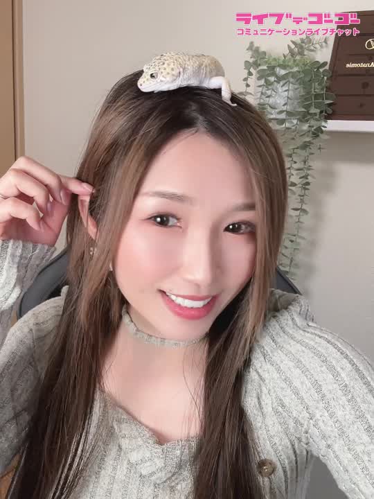 こんなペットはいかが？