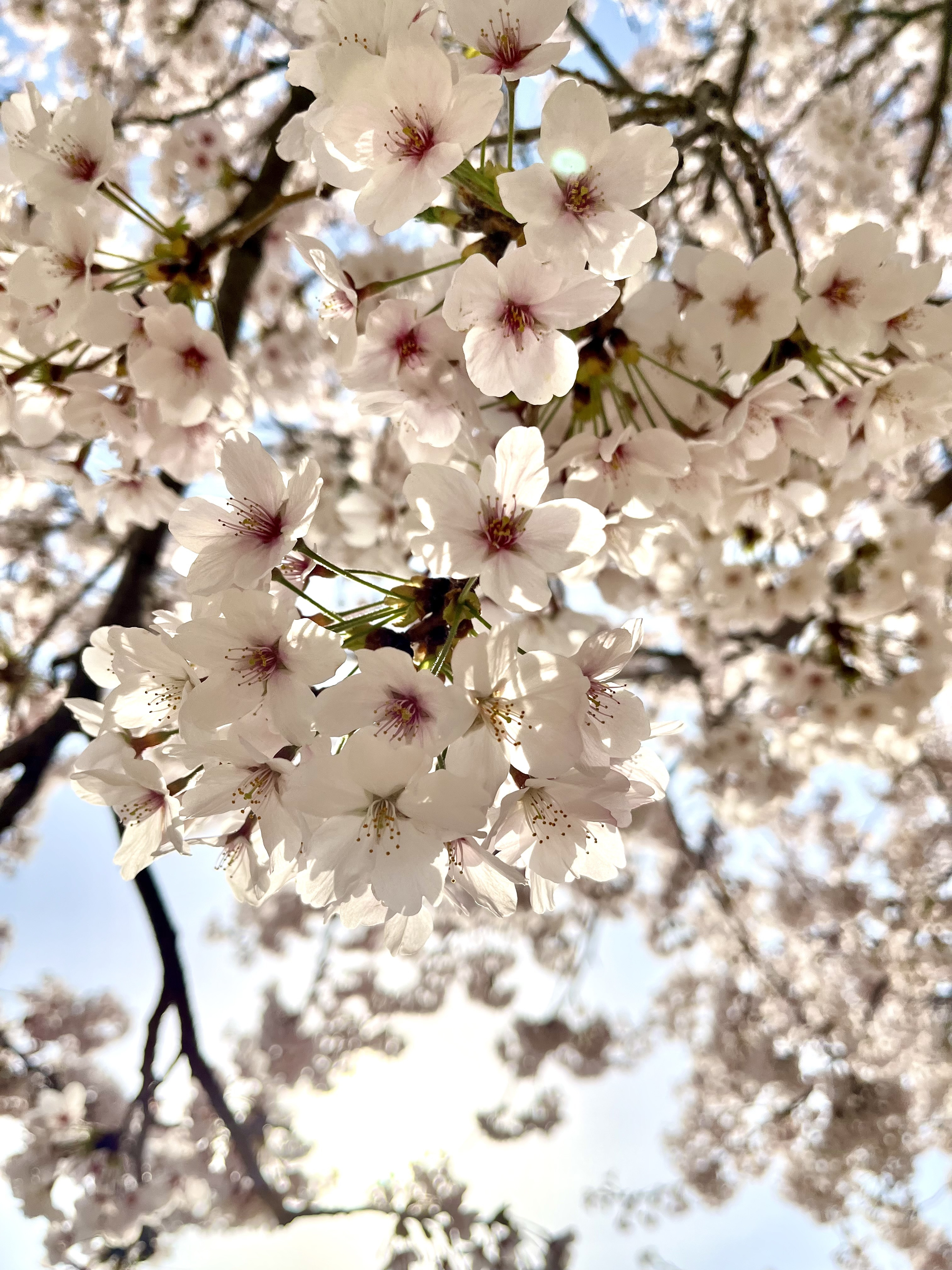 お久しぶりです！