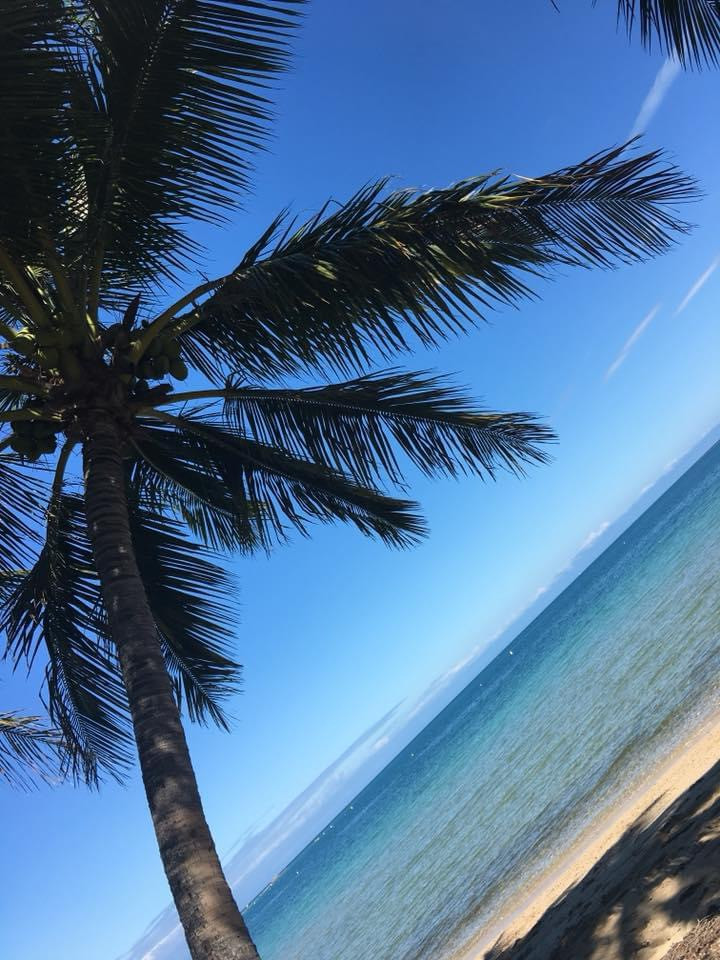 初めまして！！