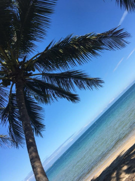 わかちゃんの2024/2/18 (日) 18:14のブログ