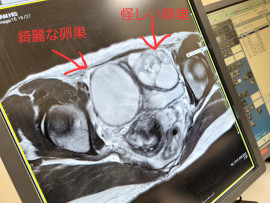 のりかちゃんの2024/2/28 (水) 20:12のブログ
