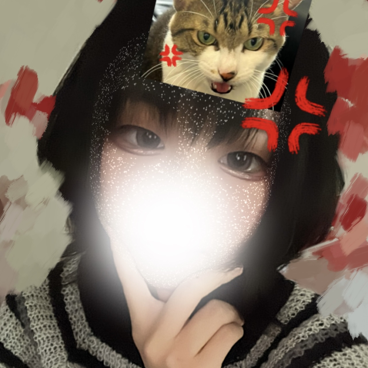 ココ🐈🐾ちゃんの2024/3/14 (木) 00:45のブログ