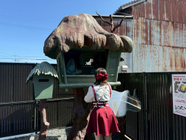 たおちゃんの10/26 (日) 00:36のブログ