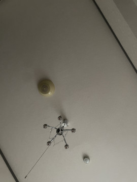 愛(ちか)ちゃんの2024/3/31 (日) 17:27のブログ