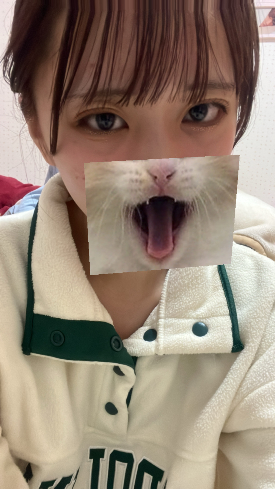 ももちゃんの2024/3/24 (日) 20:58のブログ