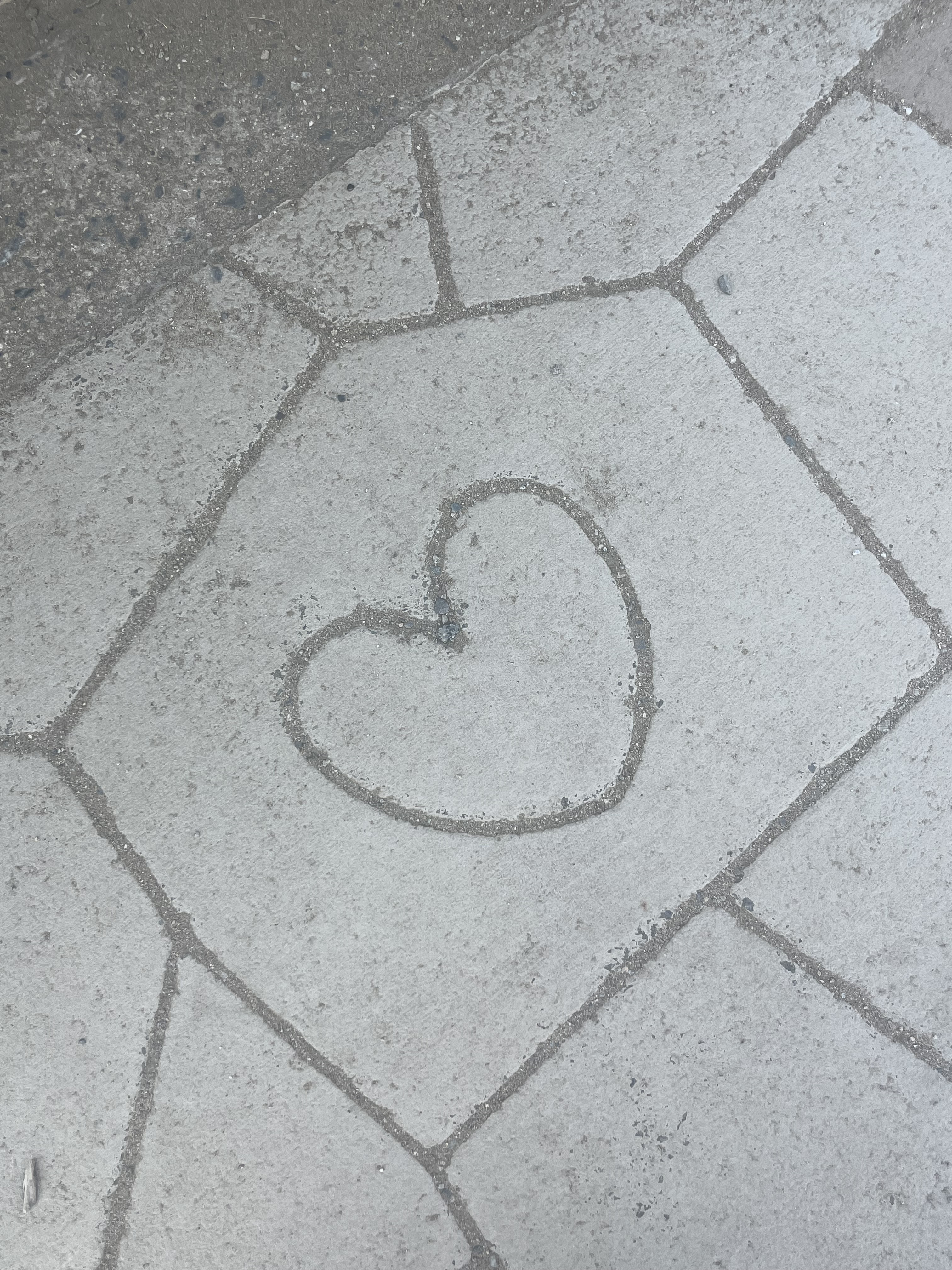 お久しぶりです?