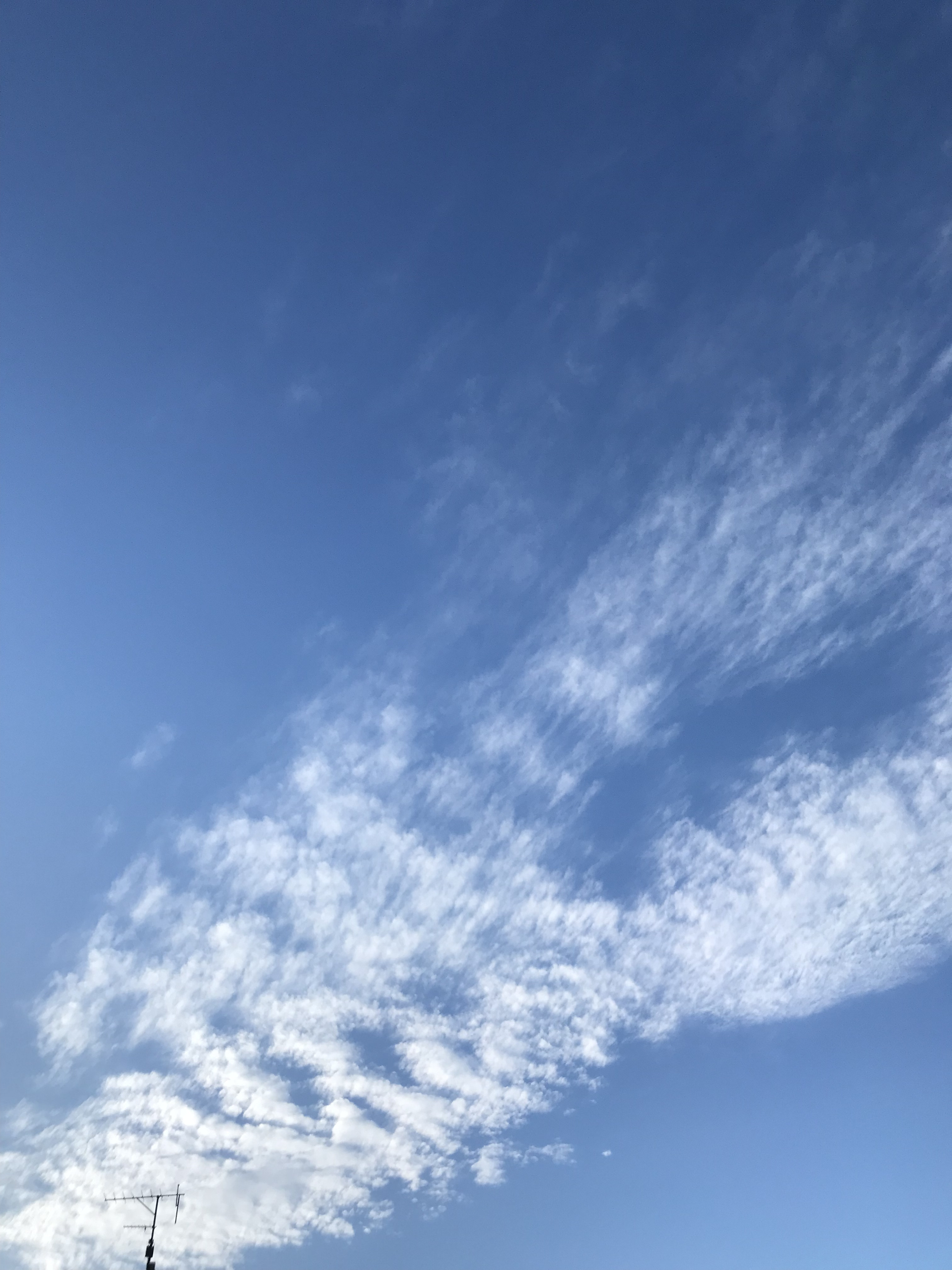 空