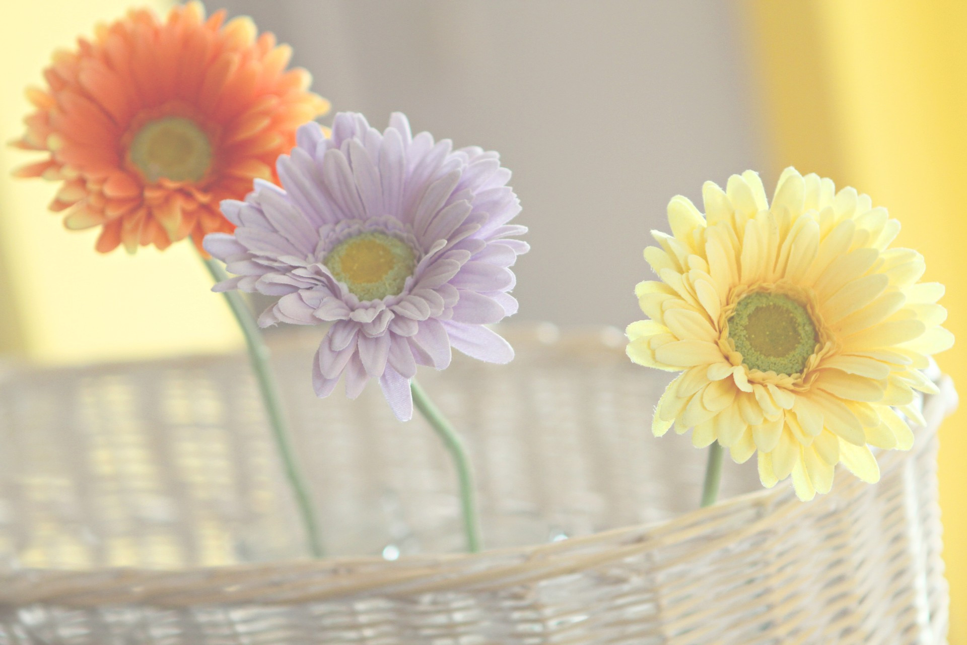 昨日はごめんなさい！