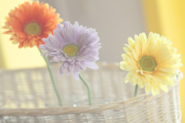 昨日はごめんなさい！