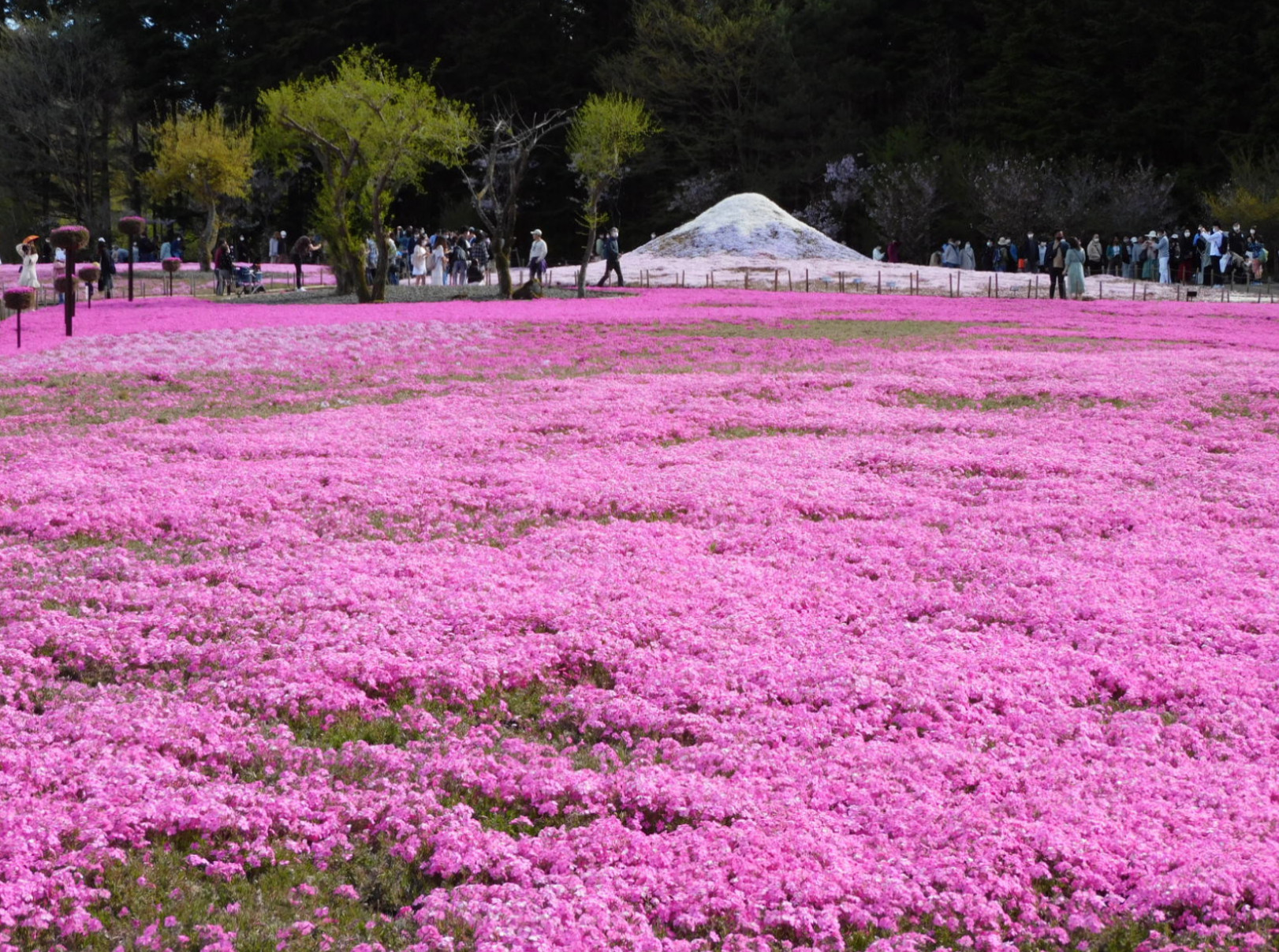 仲良しの会員様からお写真のプレゼント
