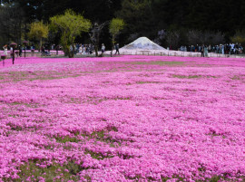 仲良しの会員様からお写真のプレゼント