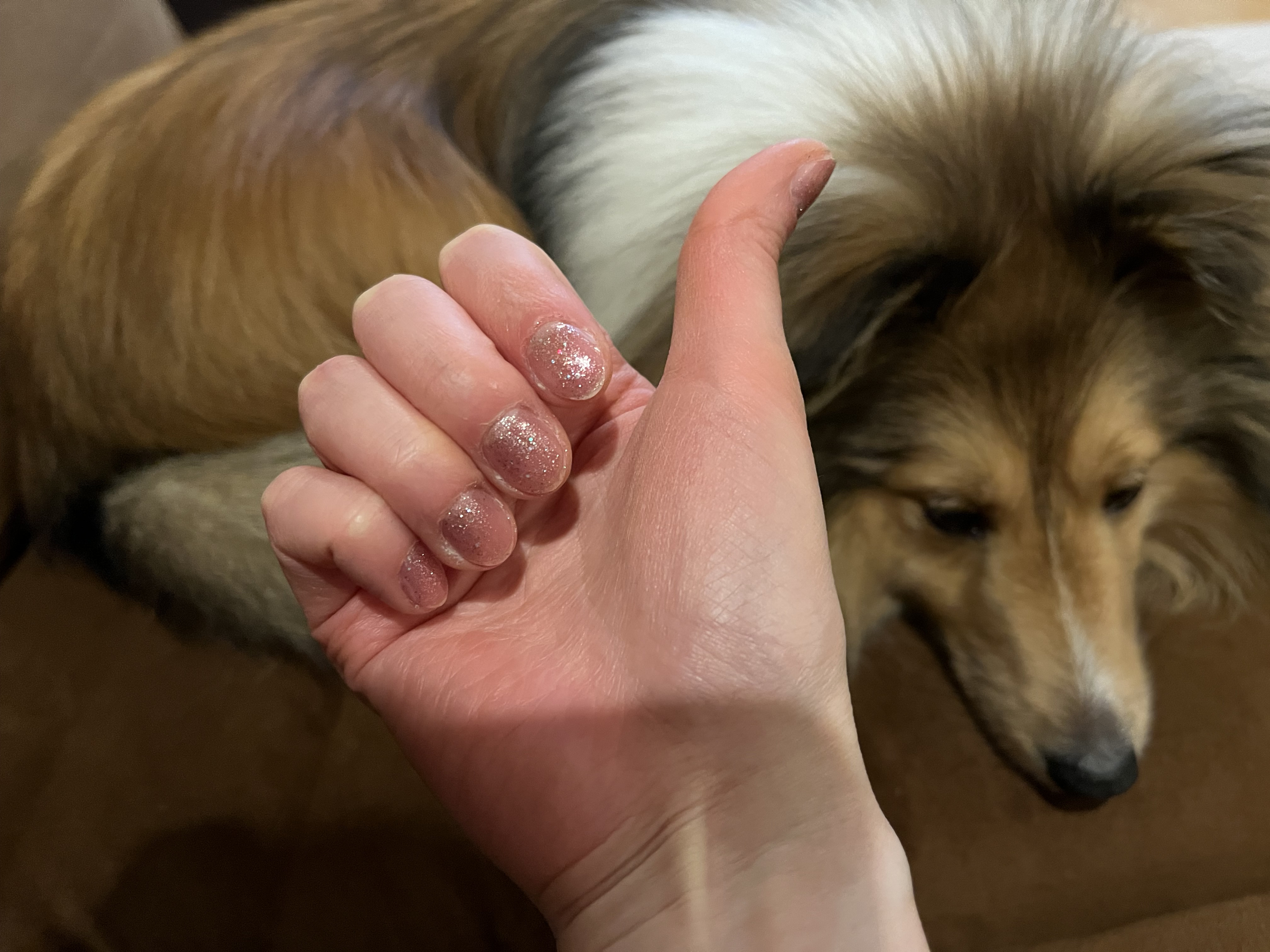 映えないけど...