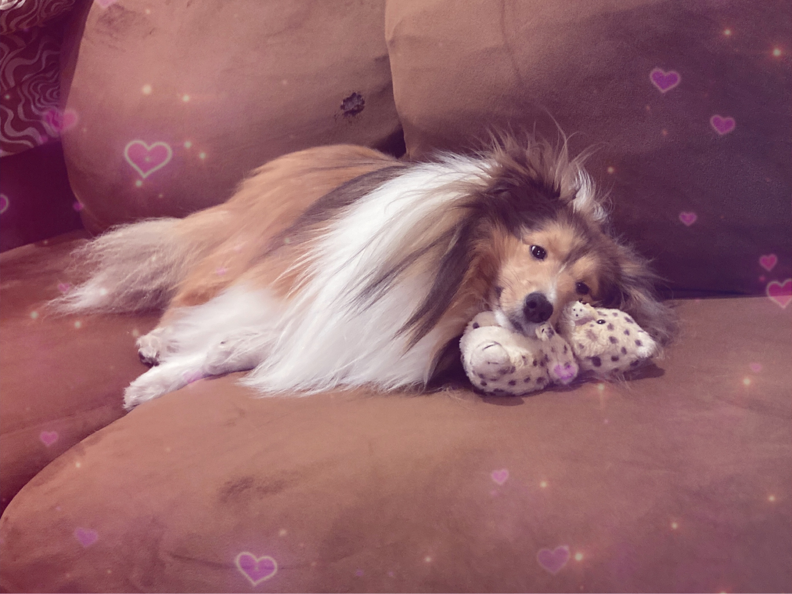 職場体験（私事の話）