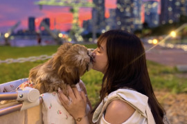 ｡*ぽんず*｡ちゃんの昨日 14:31のブログ