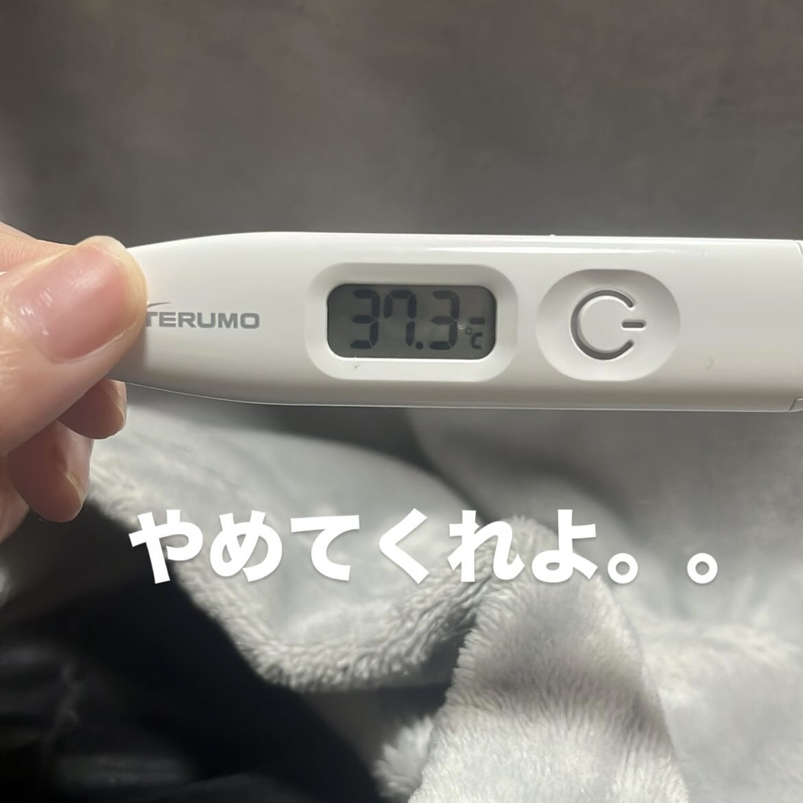 今日はおやすみします。