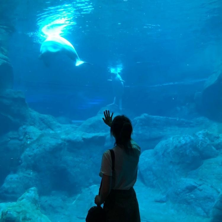 水族館