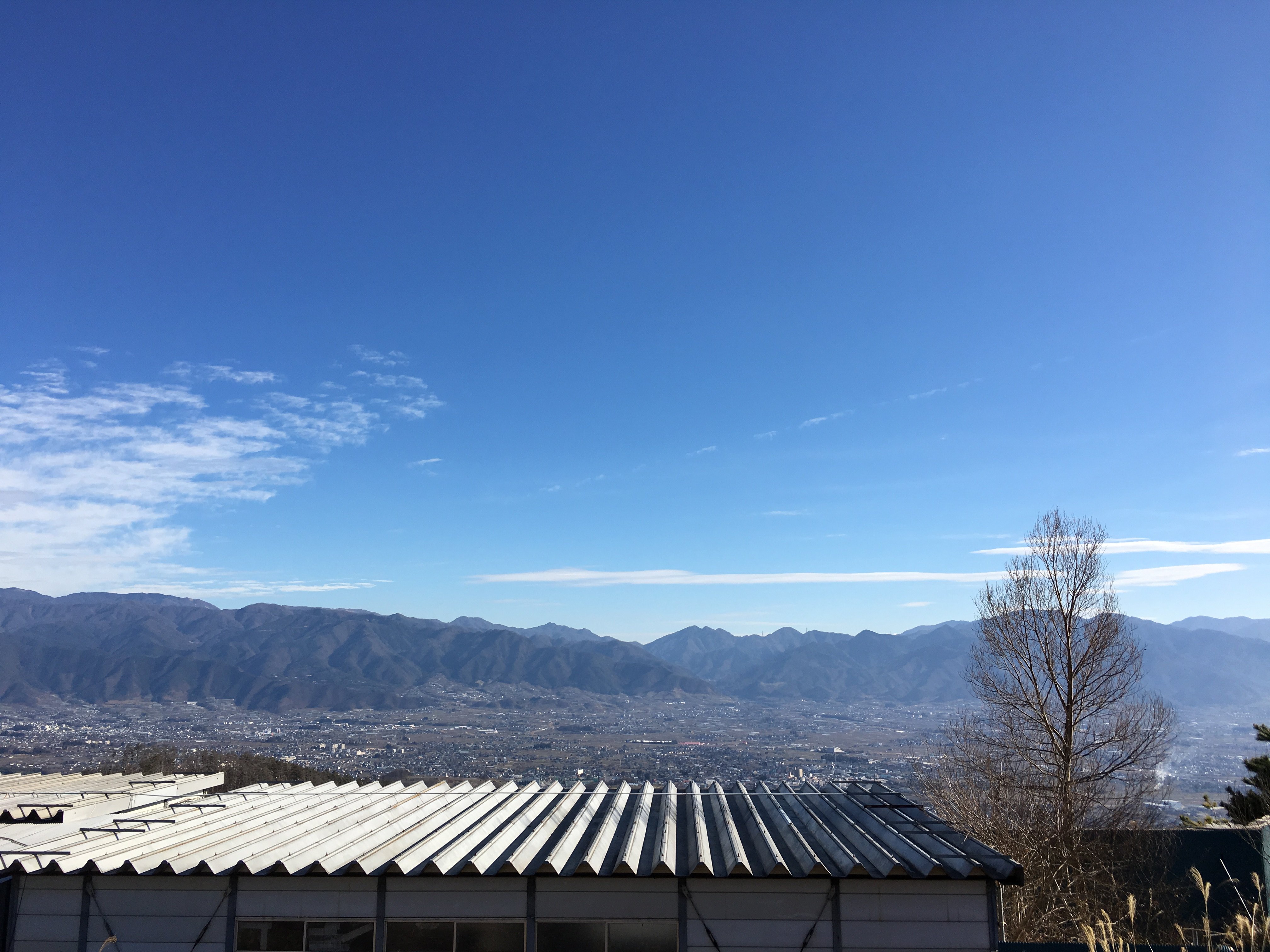 あけましておめでとうございます