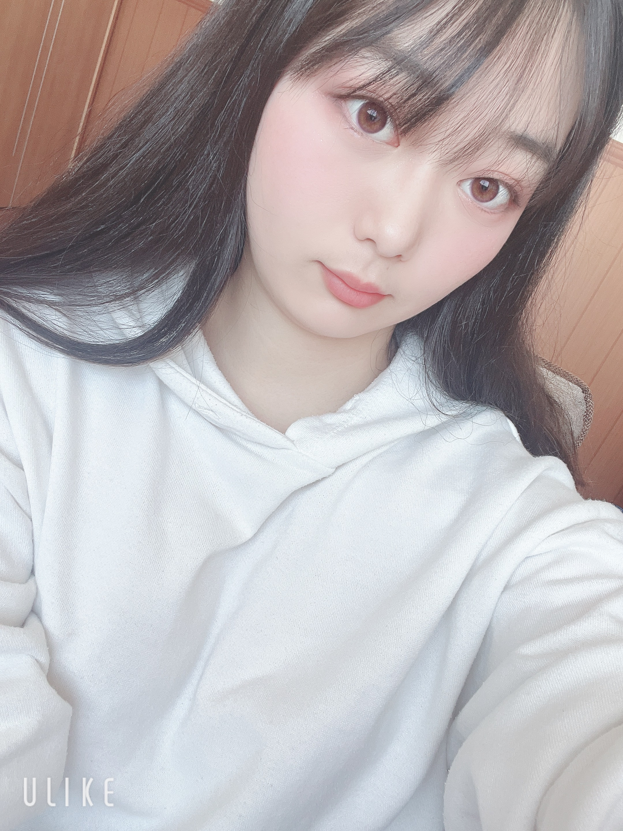 ランちゃんの2024/8/3 (土) 22:17のブログ