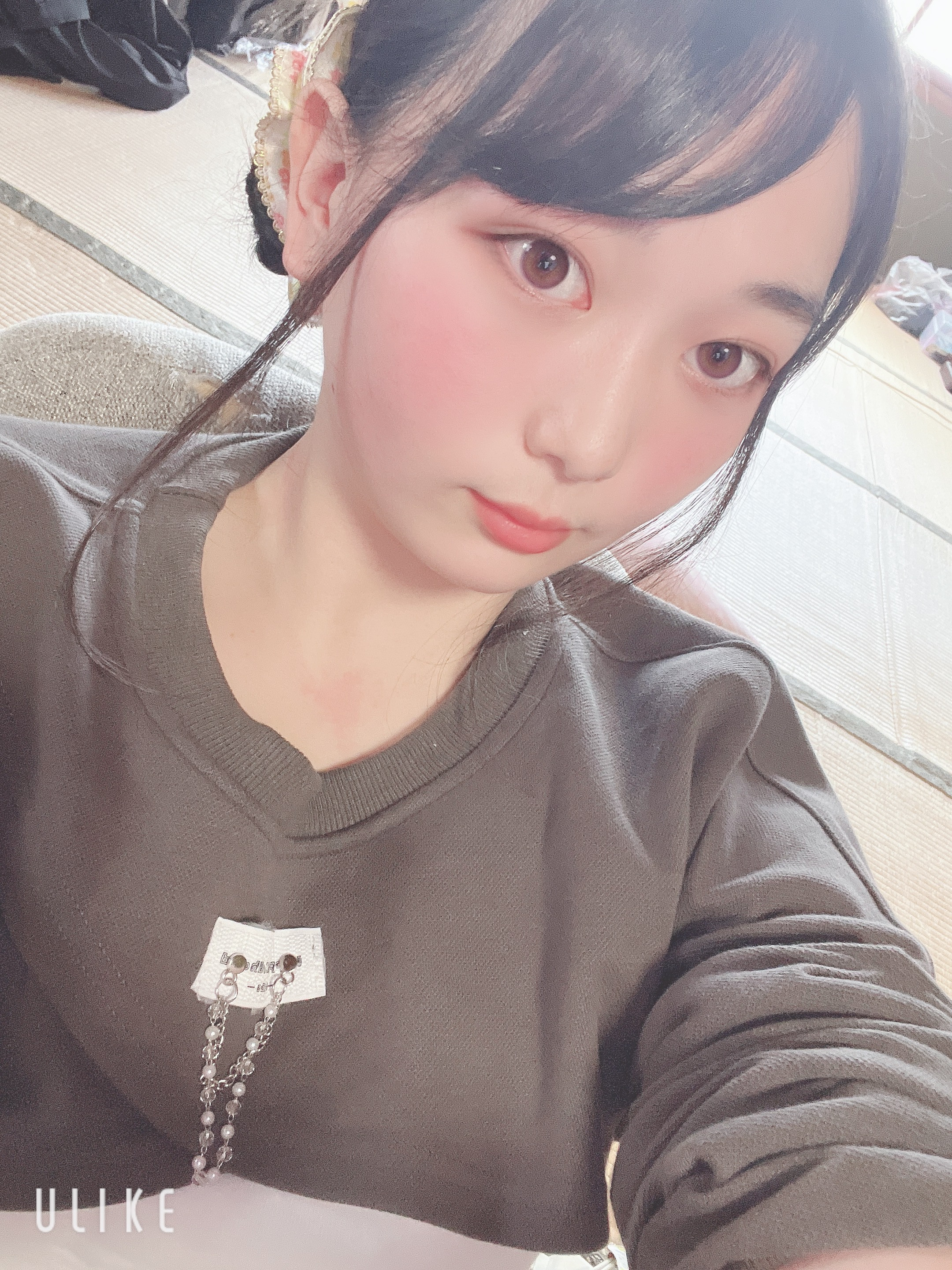 ランちゃんの2024/8/7 (水) 16:49のブログ