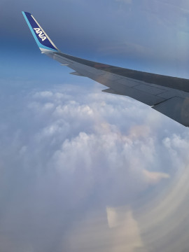 仲良しさん欲しいなぁ