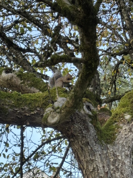 るるちゃんの今日 17:49のブログ