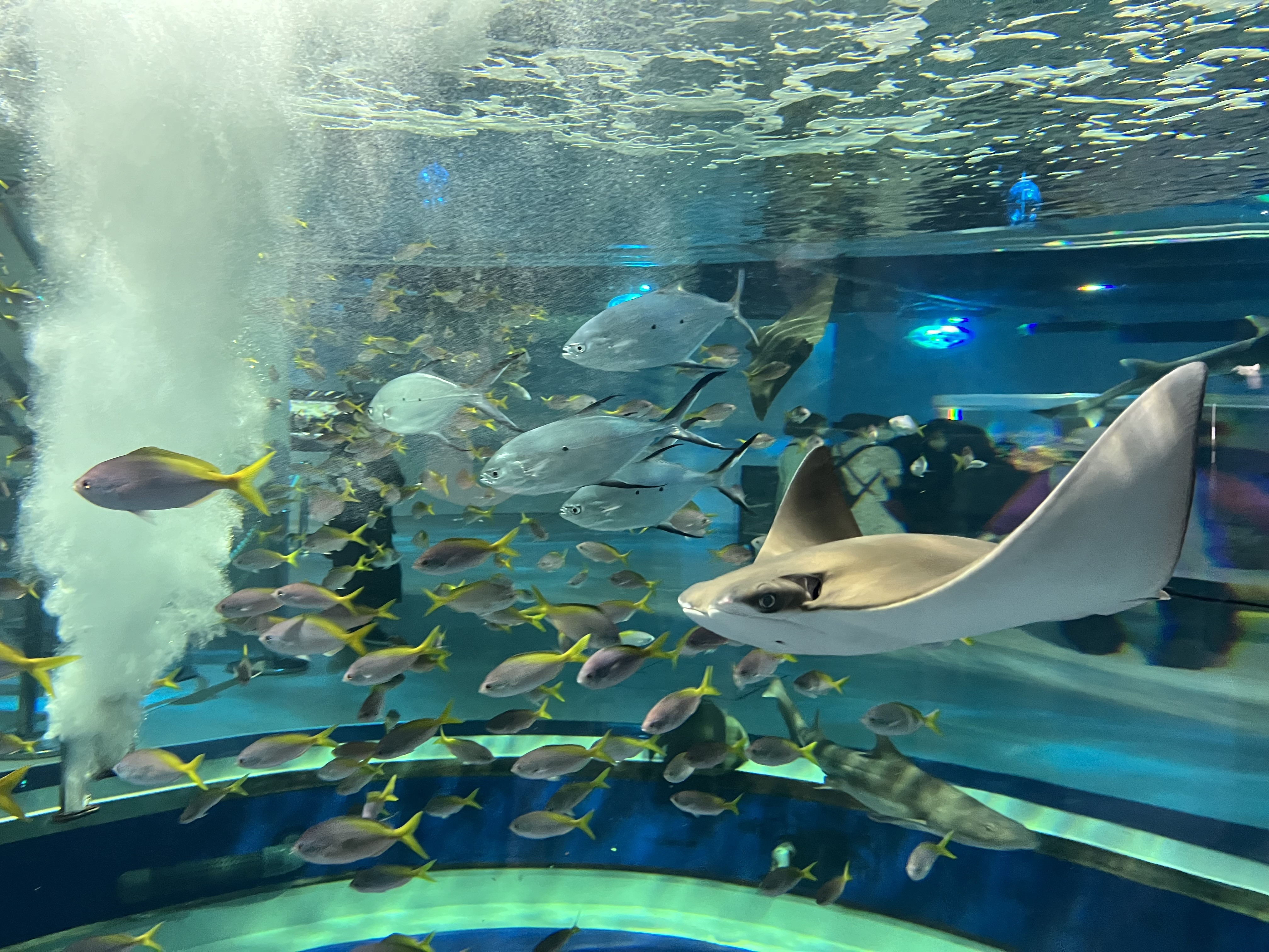 えーーん(´；ω；｀)