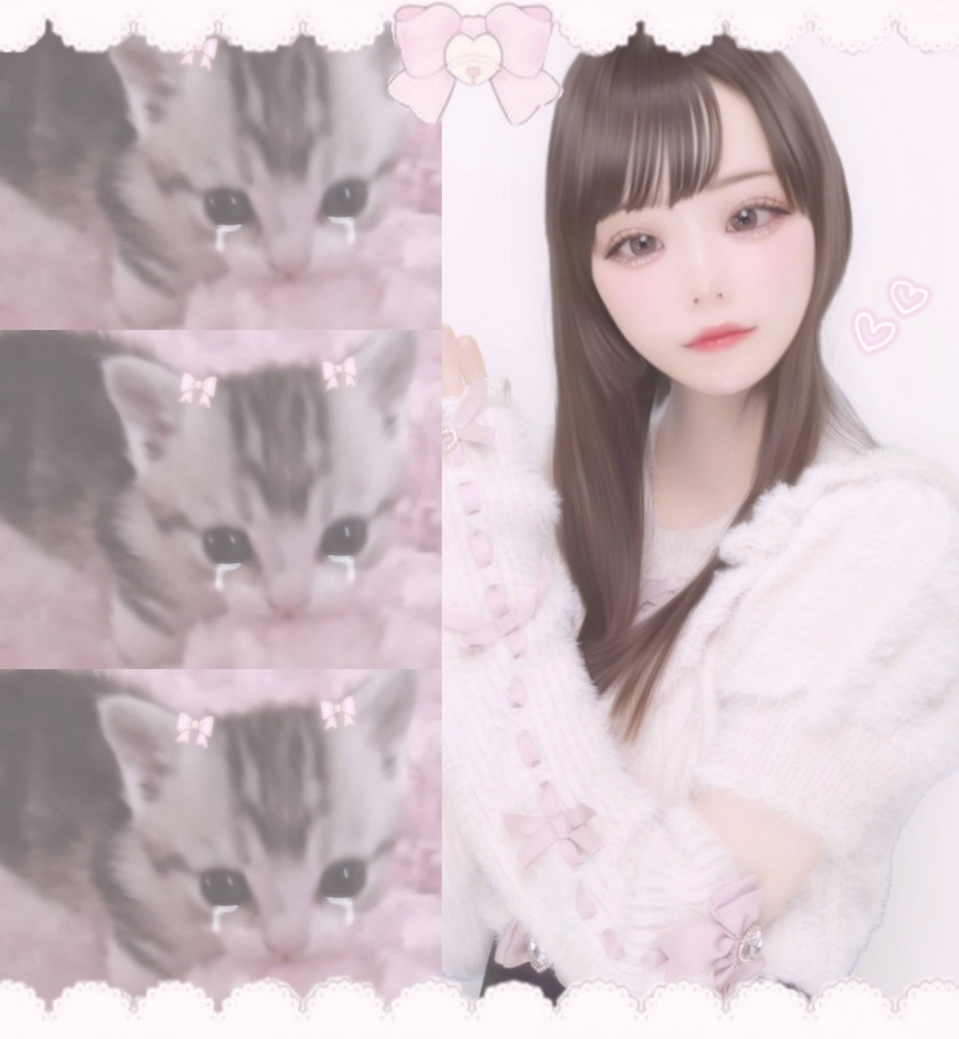 みぃちゃんの2024/8/24 (土) 17:38のブログ