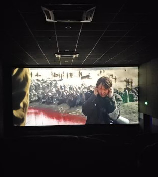 中国の友人と一緒に鑑賞。