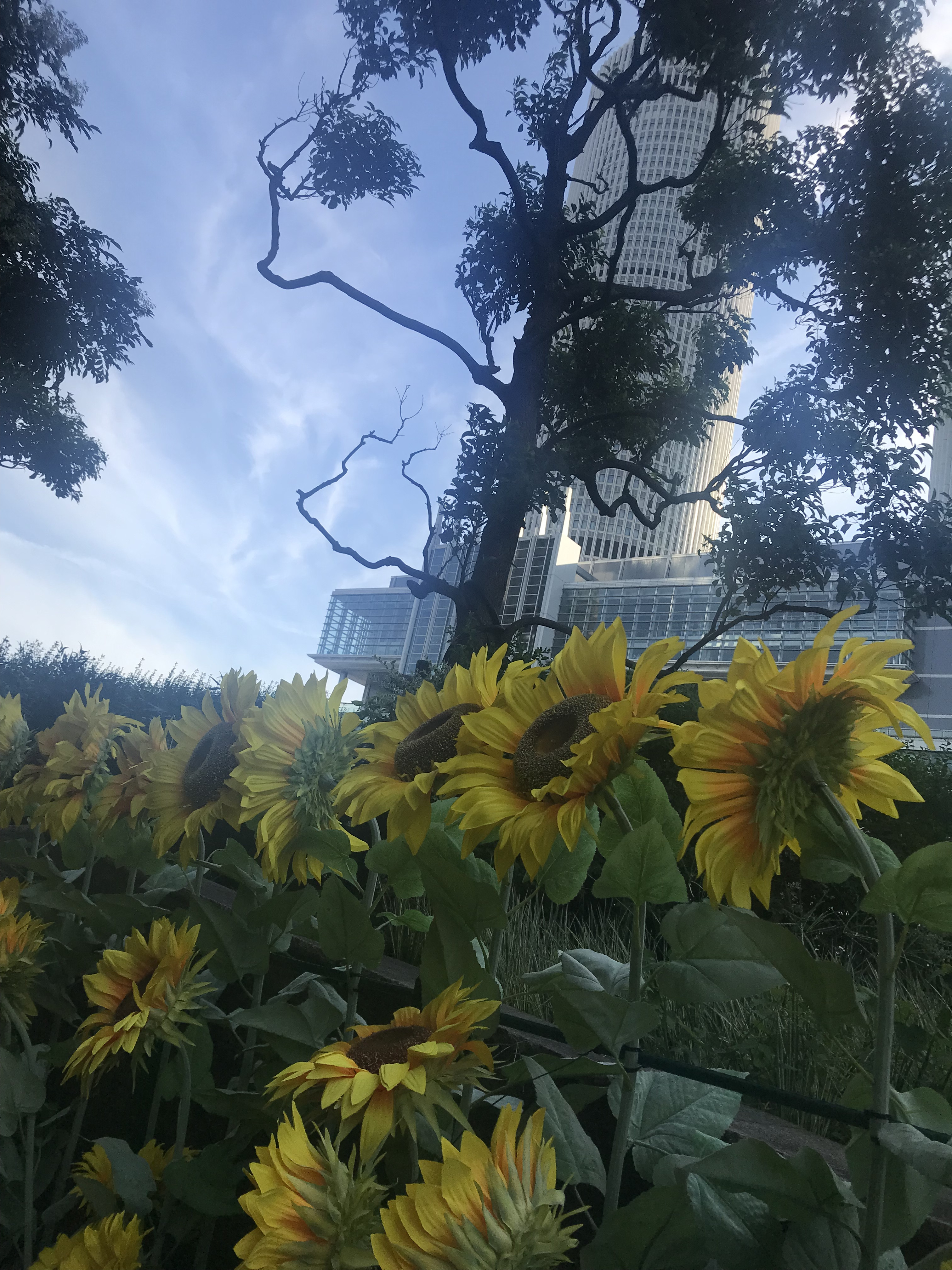 夏も終わりますね?