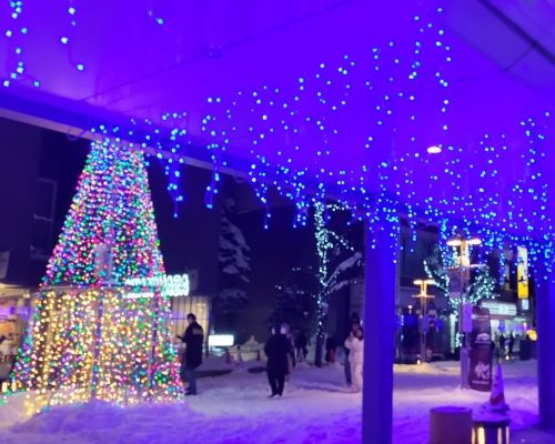 すっかり寒くなりましたね