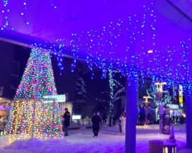 ゆのみちゃんの1/21 (火) 18:29のブログ