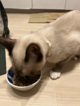 みかちゃんの2024/10/1 (火) 17:44のブログ