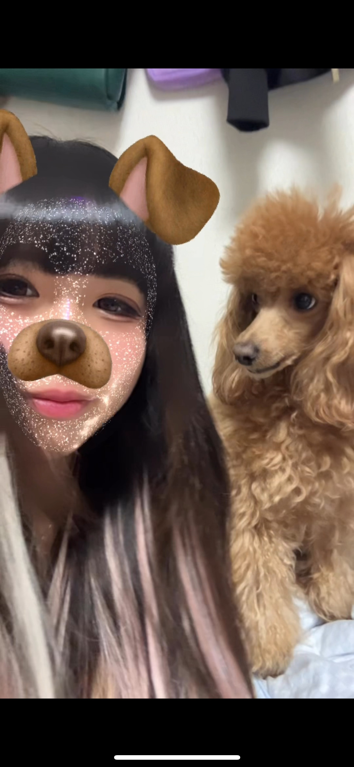 **ゆあ**ちゃんの2024/10/9 (水) 23:19のブログ