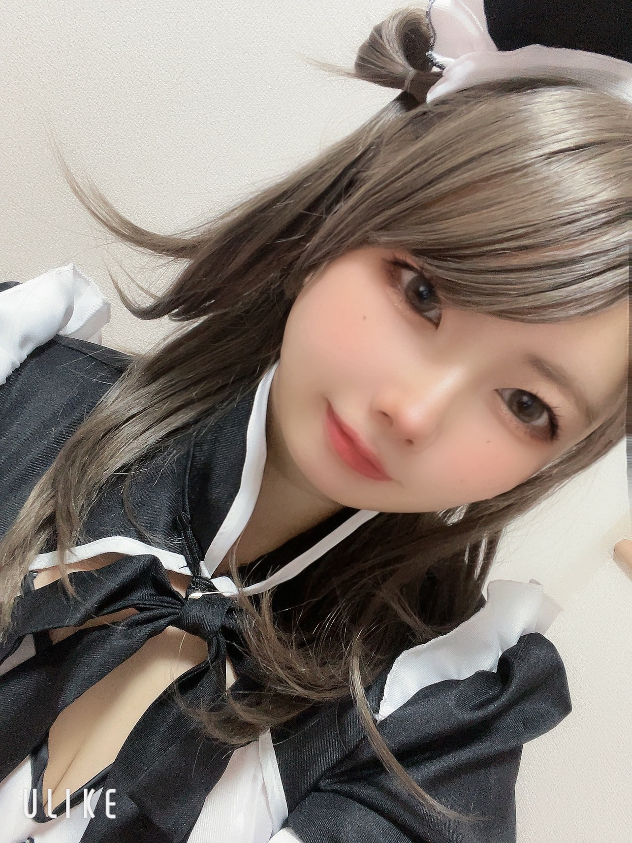 パンダメイドコス