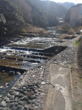 箱根の駅前行ってきました！