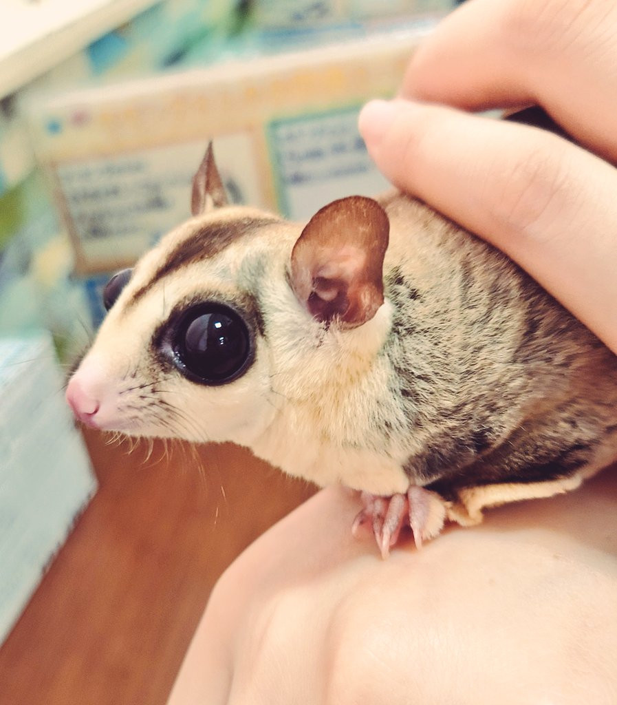 小さき者